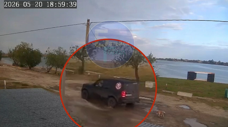 Фото: скрин из видео 