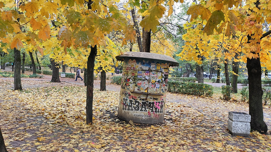 Фото: Жёлтая листва в ростовском парке, фото 1rnd