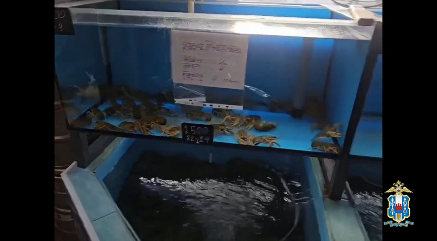 Фото: ГУ МВД России по РО