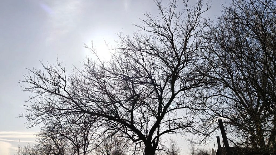 Фото: кадр 1Rnd