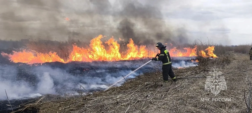 Фото: МЧС Ростовской области