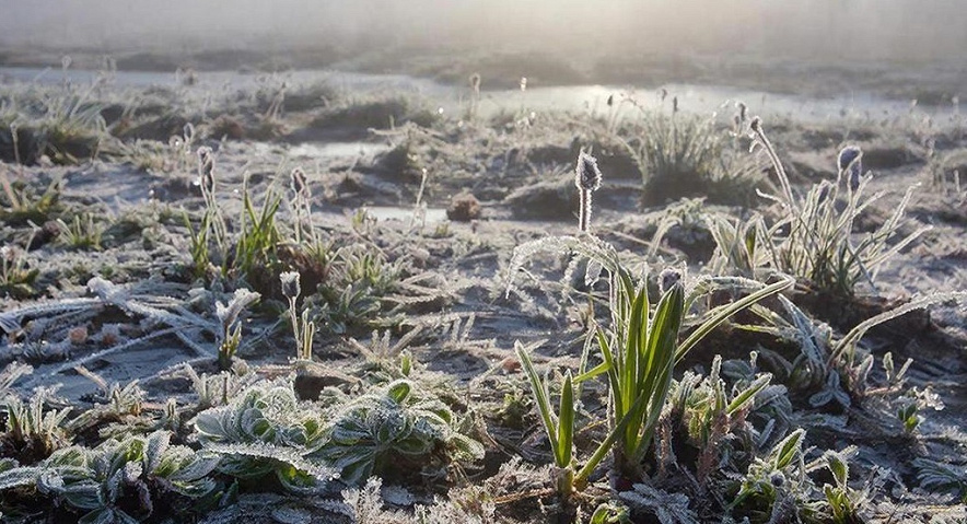 Фото: создано нейросетью