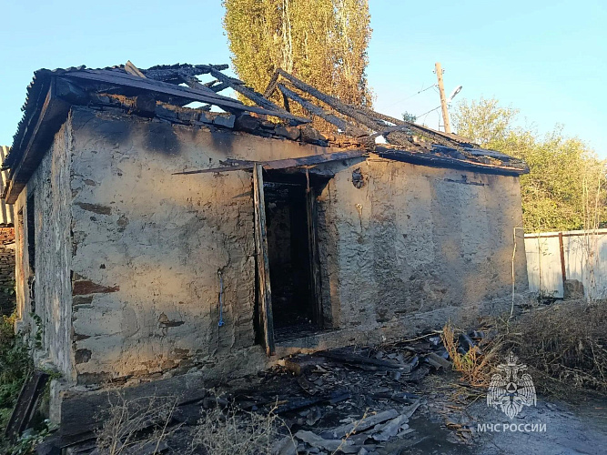Фото: кадр донского МЧС