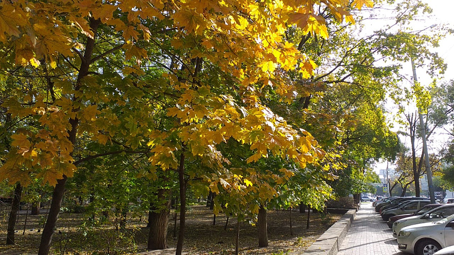 Фото: 1rnd.ru Фото: 1rnd.ru