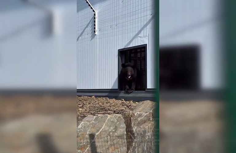 Фото: Южный парк птиц Малинки