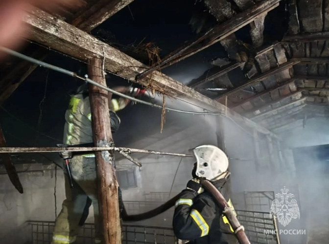 Фото: кадр донского МЧС