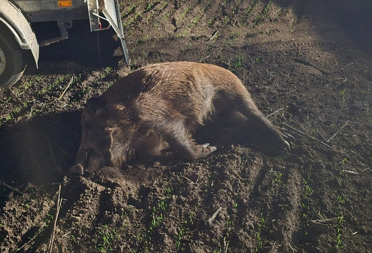 Фото: из архива Минприроды Ростовской области