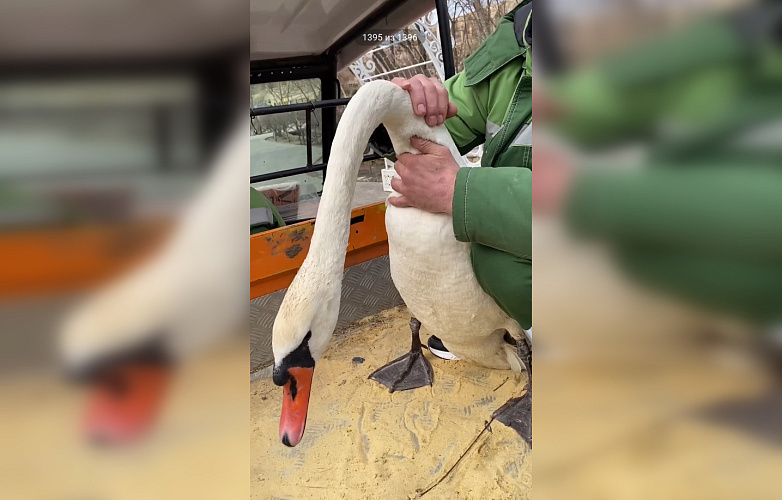 Фото: Парк «Лога»