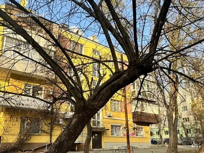 Фото: ТГ канала Бебури Месхи