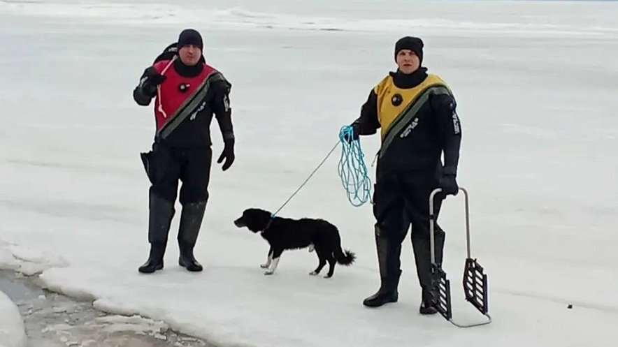 Фото: ГКУ РО «ПСС ВВ ТМ»