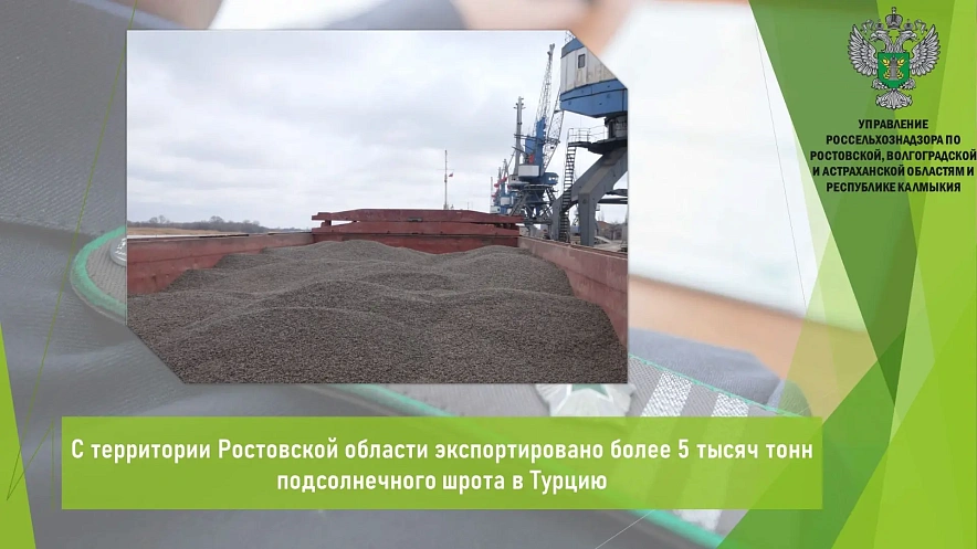 Фото: Региональный Россельхознадзор