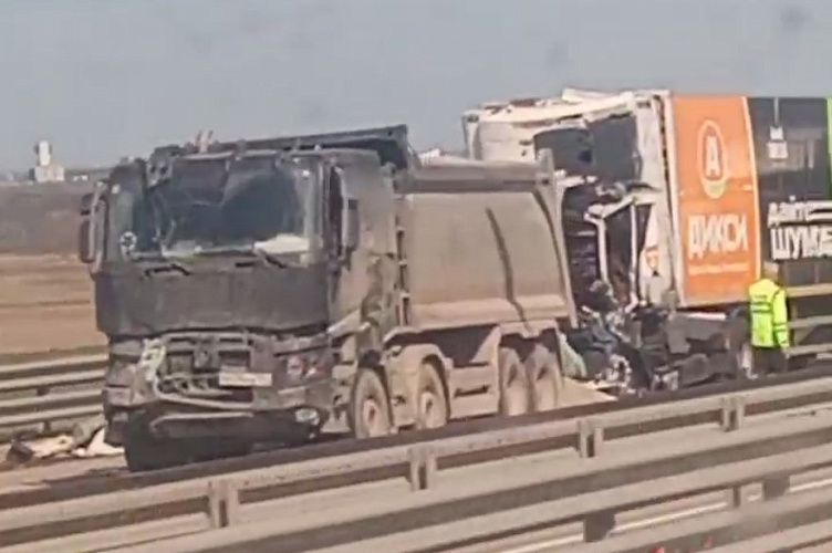Фото: Под Ростовом при массовой аварии с грузовиками погиб водитель, кадр из видео