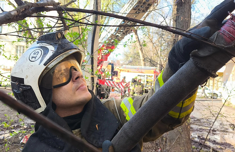 Фото: МЧС Ростовской области