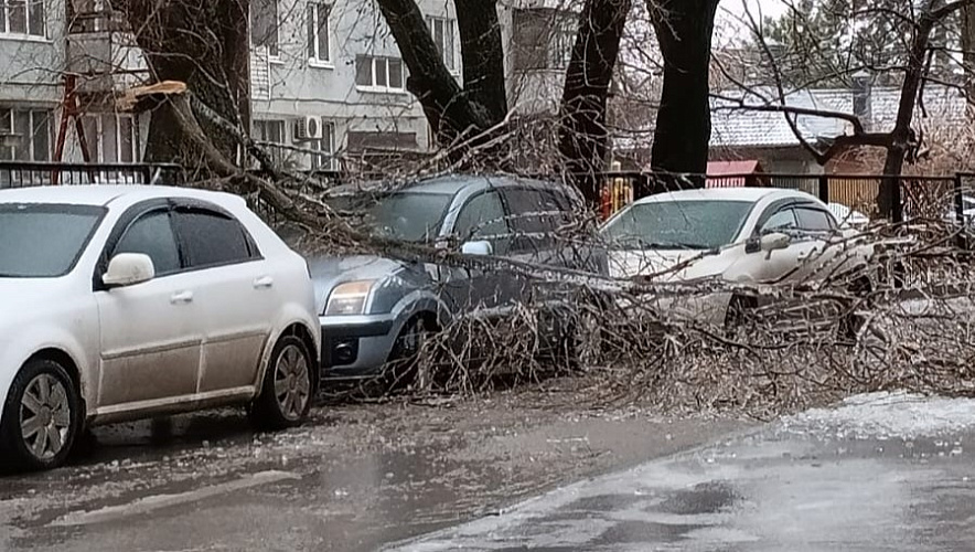 Фото: Заледеневшая ветка упала на припаркованные машины в Ростове, кадр очевидца