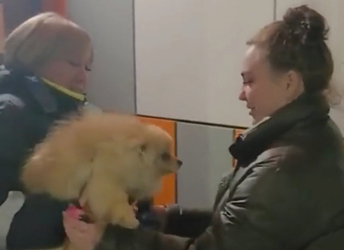 Фото: Госавтоинспекция РО