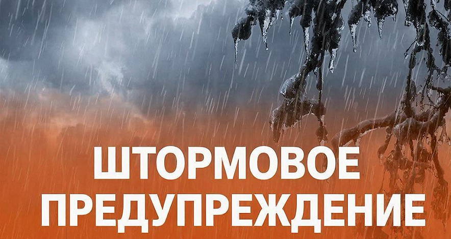 Фото: Нейросеть