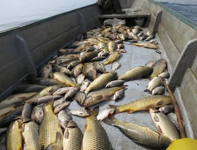 Фото: АзНИИРХ