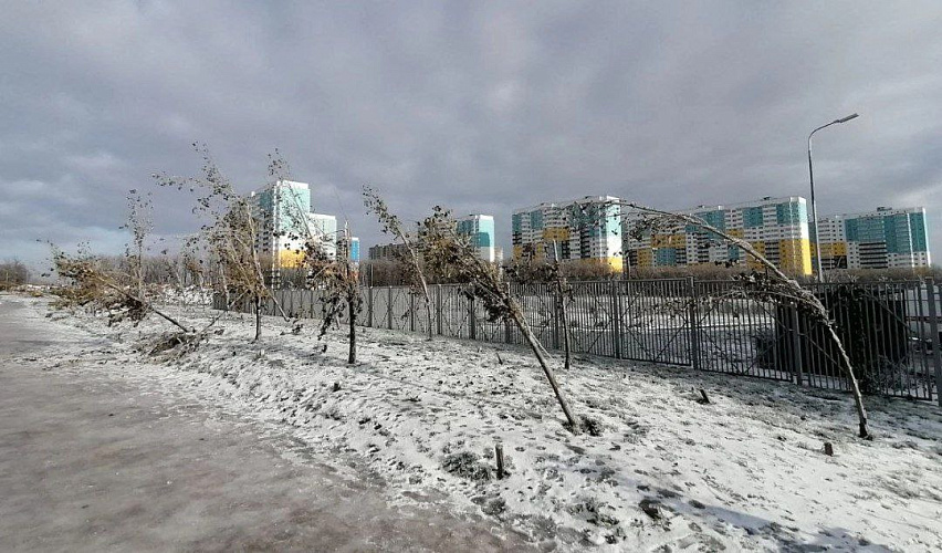 Фото: Вид на высотки Суворовского зимой, ТГ Суворовского