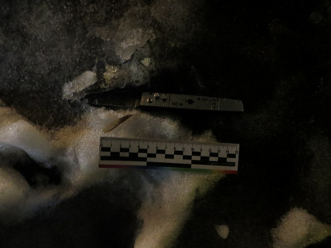 Фото: ГУ МВД РФ по РО