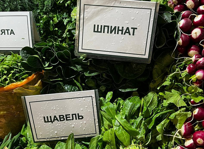 Фото: зелень на рынках Ростова // кадр 1rnd.ru