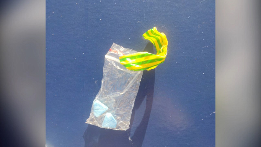 Фото: ГУ МВД РФ по РО