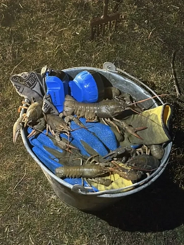 Фото: ГУ МВД РФ по РО