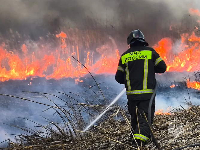Фото: МЧС Ростовской области