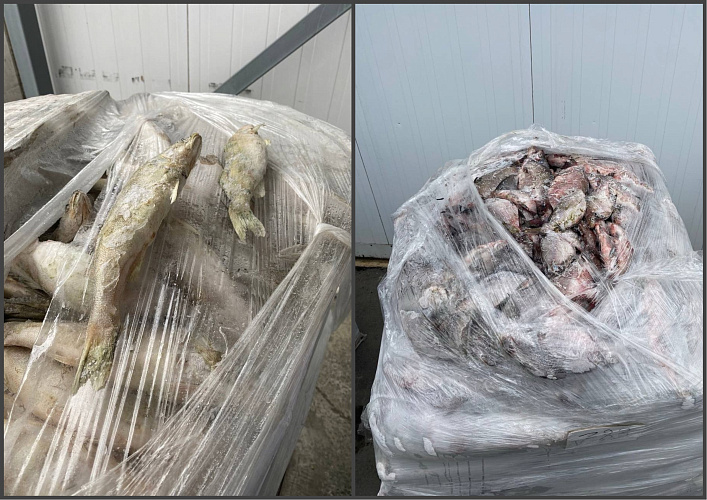 Фото: УФСБ РФ по РО