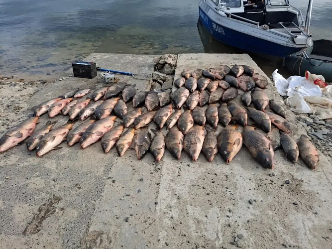 Фото: МВД по Ростовской области 