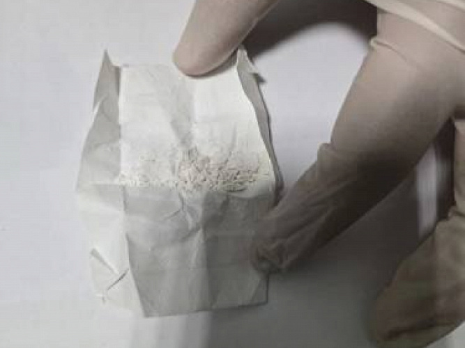 Фото: ГУ МВД РФ по РО