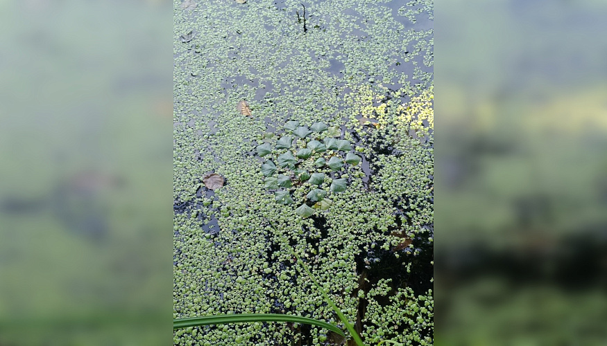 Фото:  ЮНЦ РАН