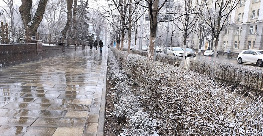 Фото: Мокрый снег в Ростове, кадр 1rnd