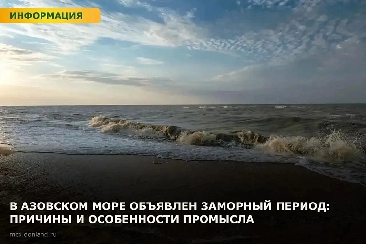 Фото: Минсельхозпрод РО