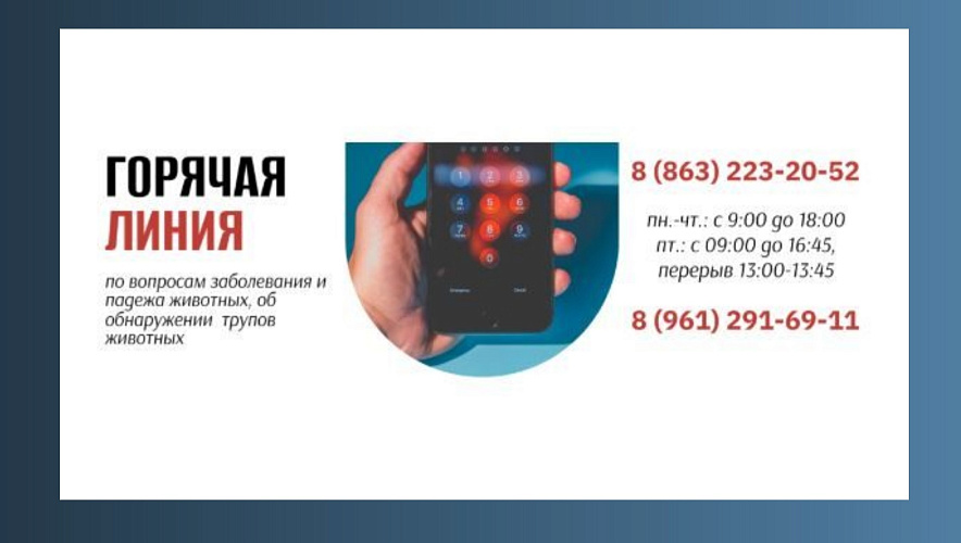 Фото: Управление ветеринарии Ростовской области