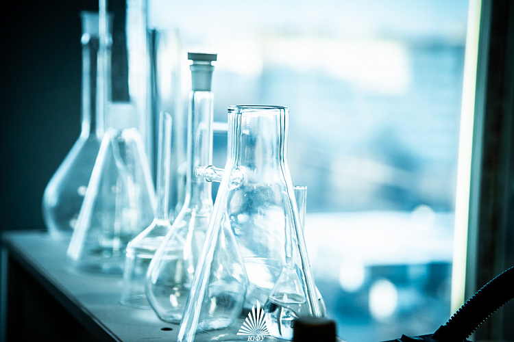 Фото: пресс-центр ЮФУ