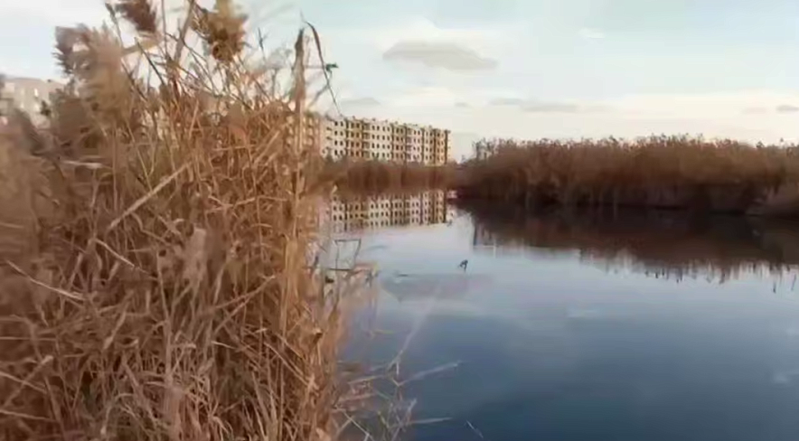 Фото: скрин из видео 