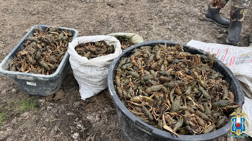 Фото: ГУ МВД России по РО