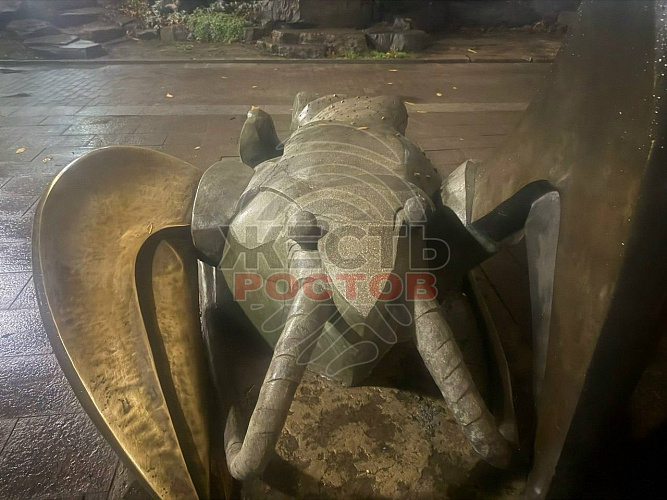 Фото: ТГ канала «Жесть Ростов»