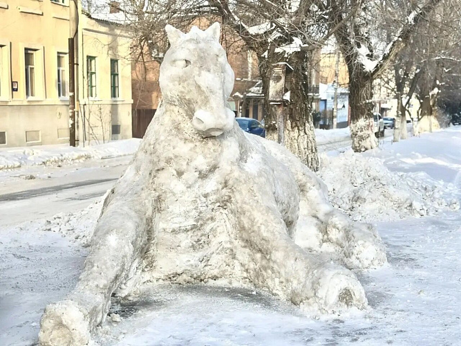 Фото: Администрация города Новочеркасска