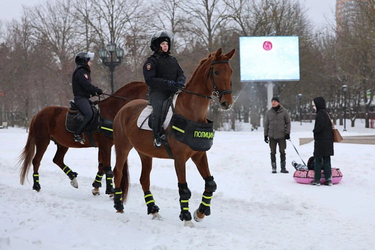 Фото: МВД по Ростовской области 