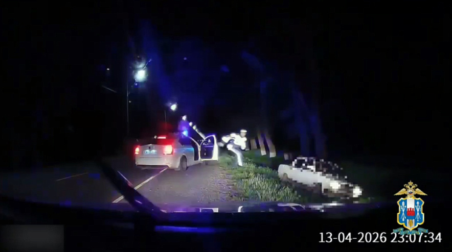 Фото: Госавтоинспекции Ростовской области 