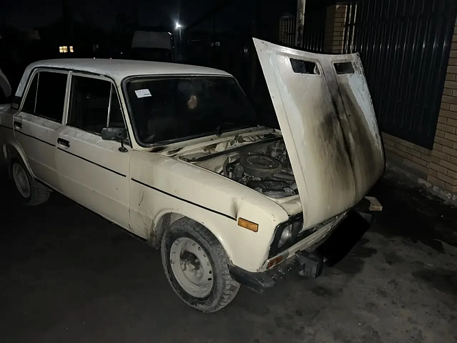 Фото: МВД по Ростовской области 