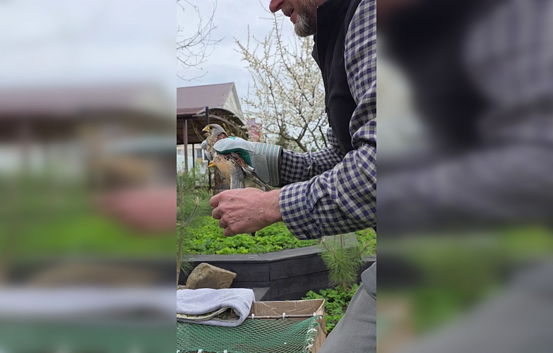 Фото: Ростовская АЭС