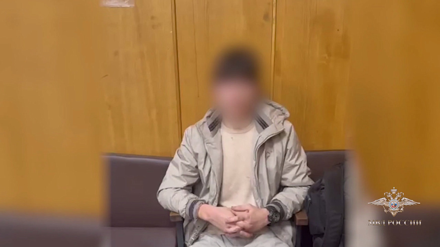 Фото: Ирина Волк / tg.org