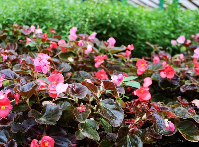 Фото: из архива Администрации Ростовской области 