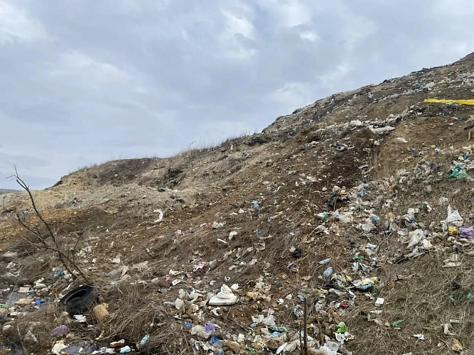 Фото: ТГ-канал Антонины Пшеничной