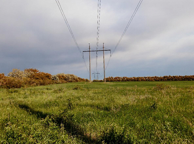 Фото: ТГ замгубернатора Ростовской области