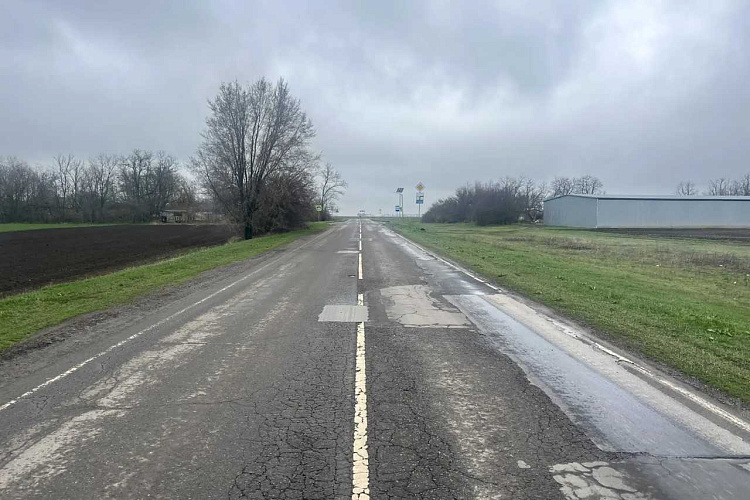 Фото: Правительство Ростовской области 