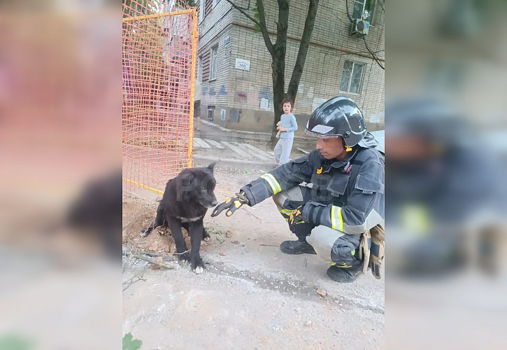 Фото: ТГ канала «Привет Ростов»