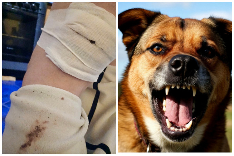 Фото: Такие новости - Красный Сулин / vk.com; нейросеть